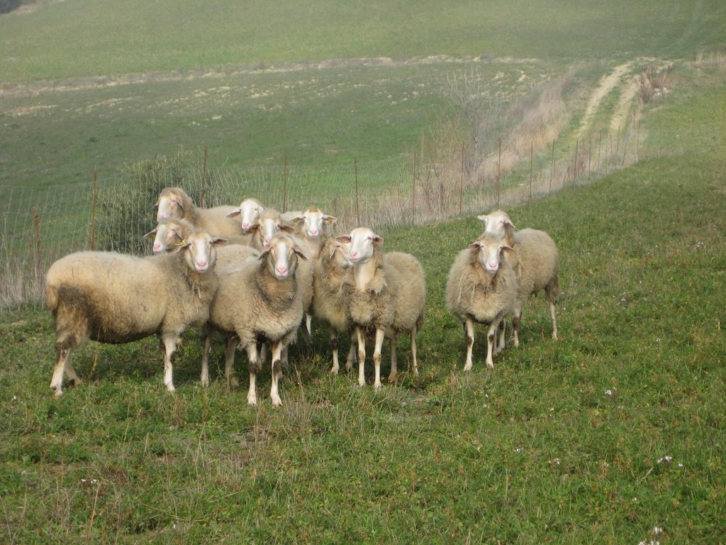 Agriturismo La Campana Montefiore dellʼAso المظهر الخارجي الصورة