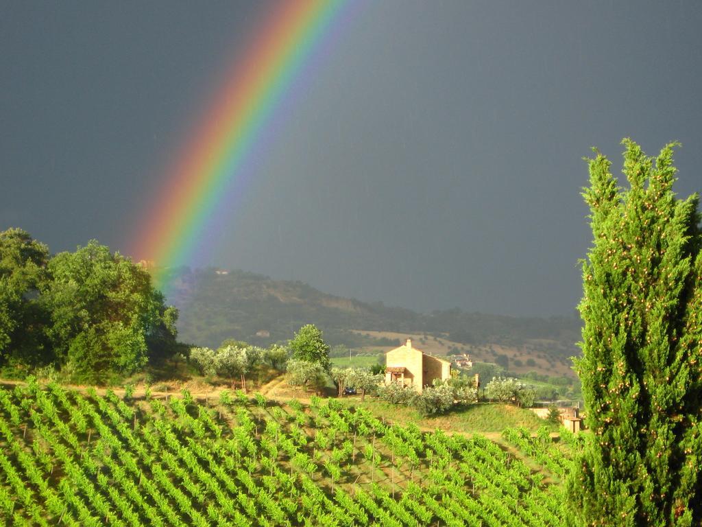 Agriturismo La Campana Montefiore dellʼAso المظهر الخارجي الصورة