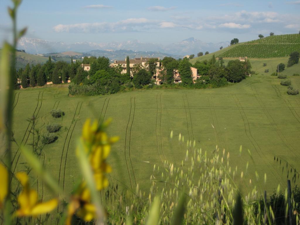 Agriturismo La Campana Montefiore dellʼAso المظهر الخارجي الصورة